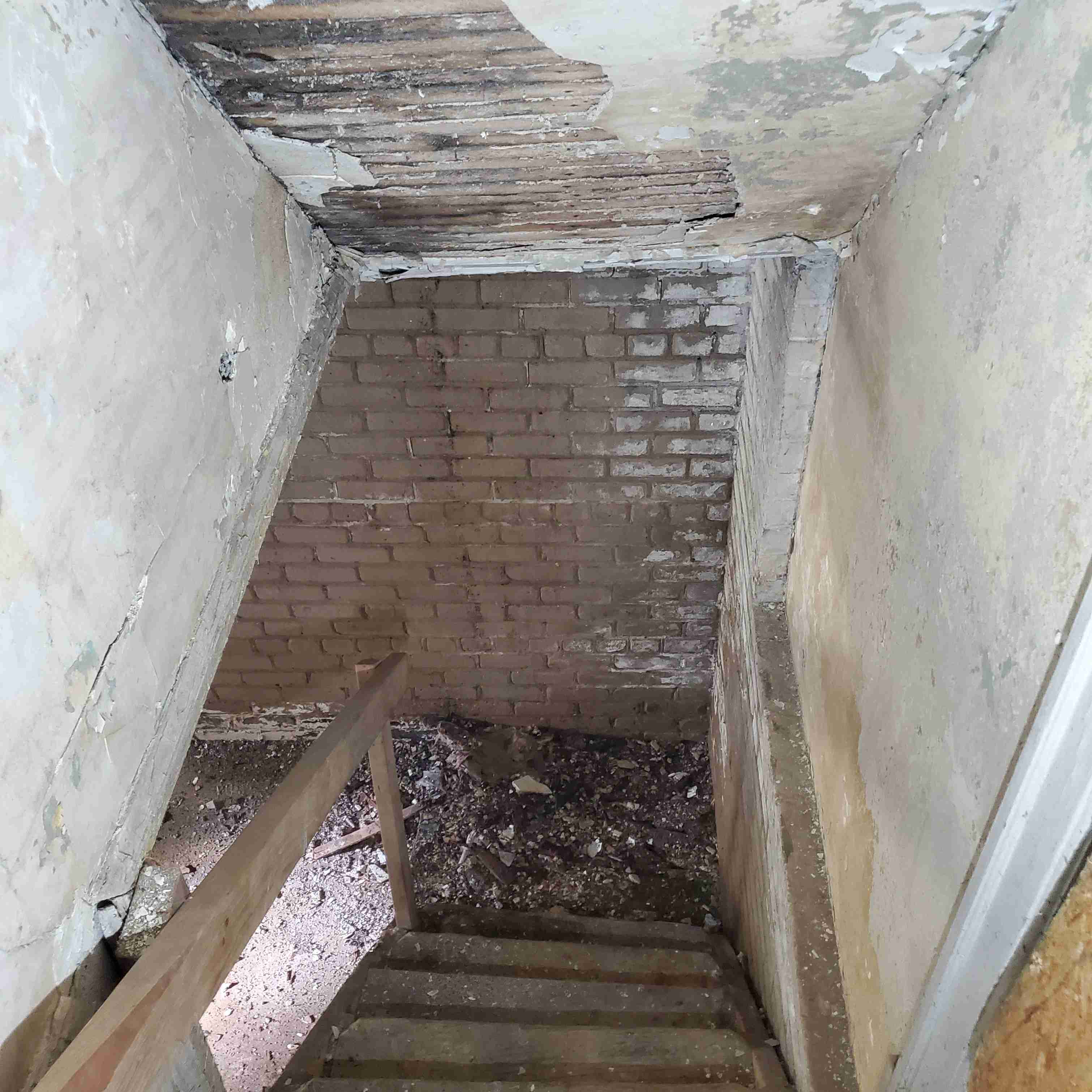 20200819_142835 (2).jpg